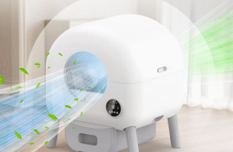 The Great Litter Box Debate: When My Wife and I Finally Agreed on Something