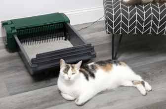 Two Litter Boxes, One Messy Truth: My Journey with the Pet Zone Smart Scoop and PetSafe Crystal Dreams